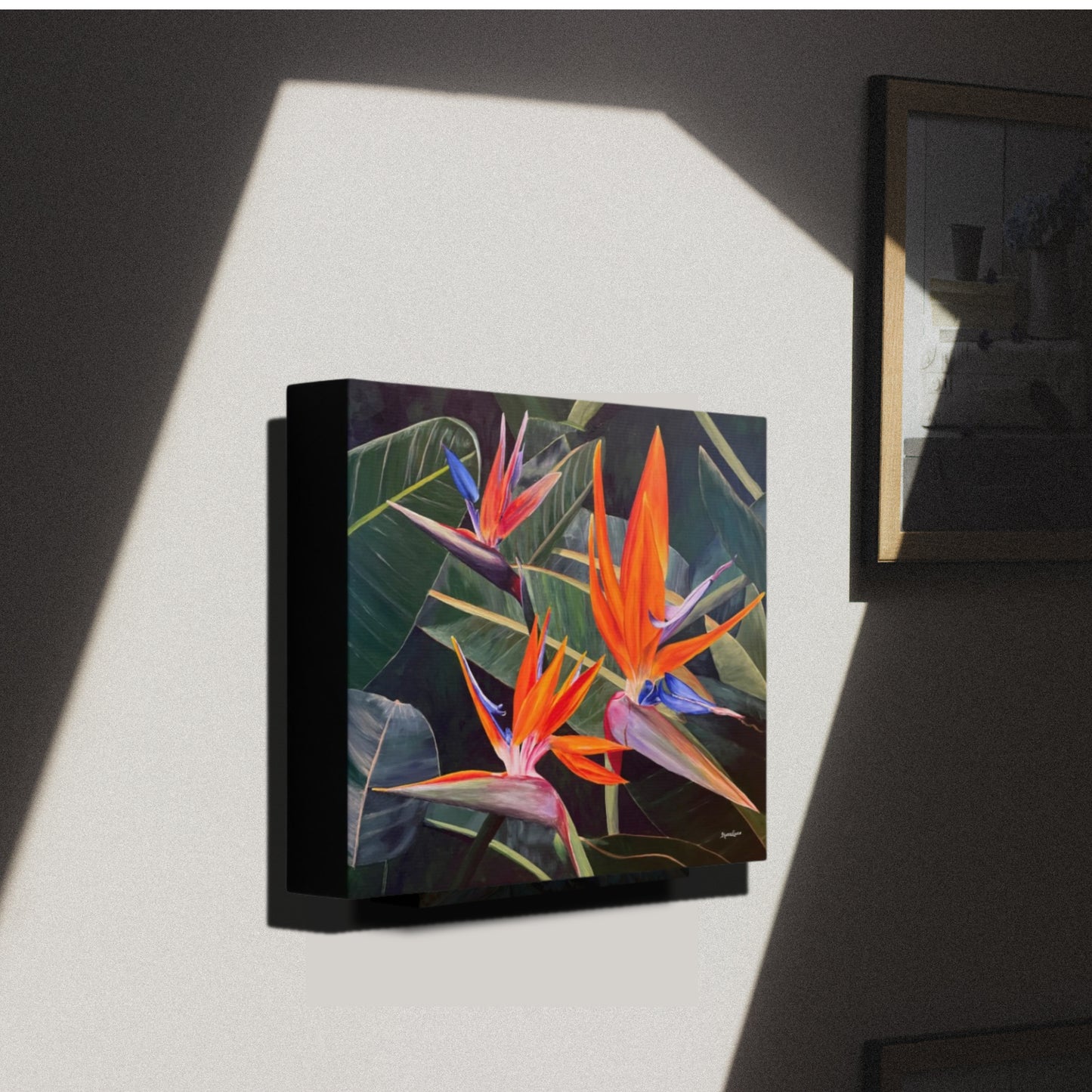 Birds of Paradise