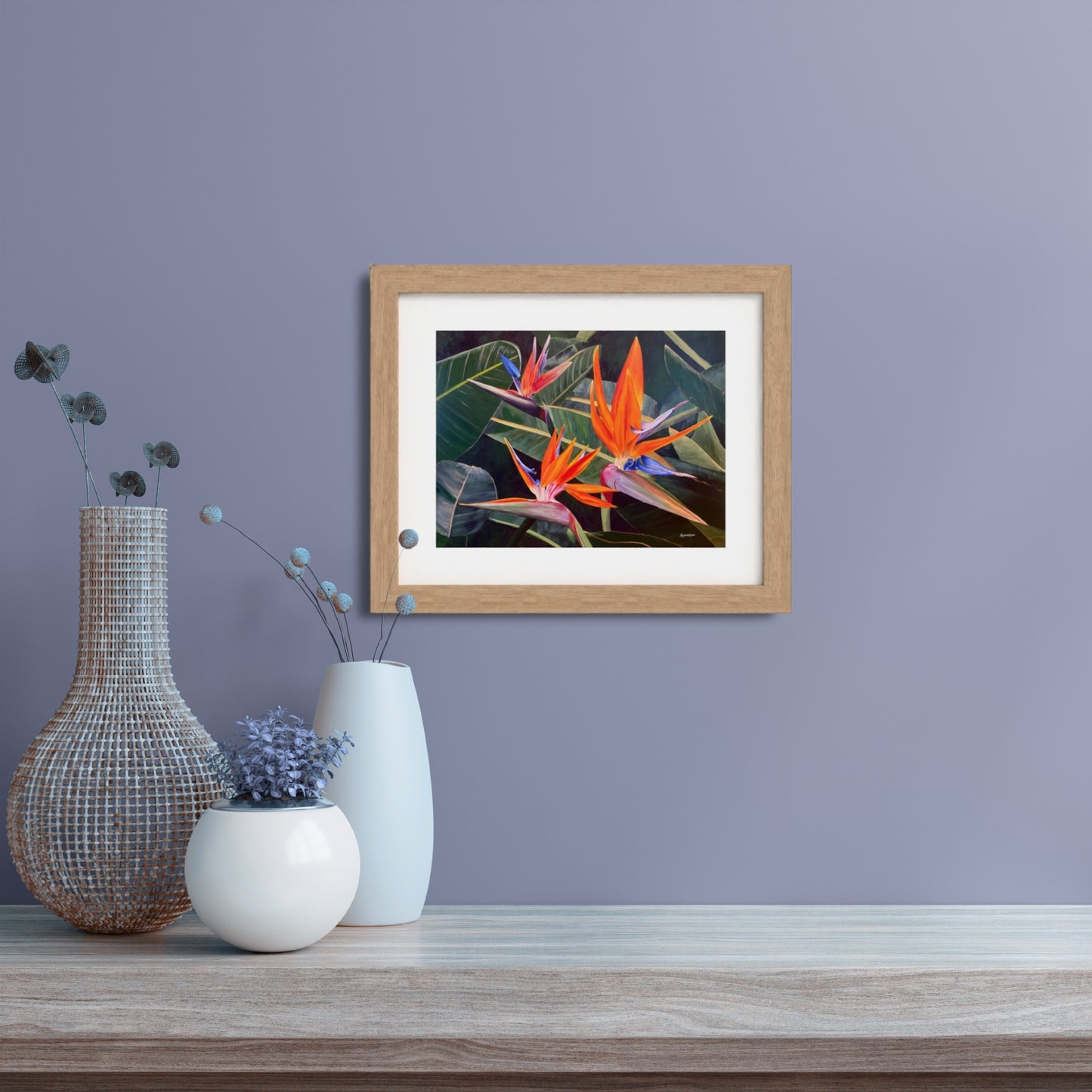 Birds of Paradise