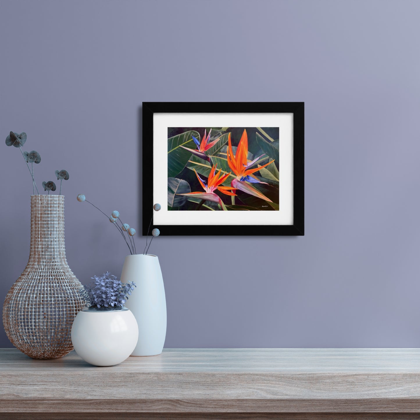 Birds of Paradise