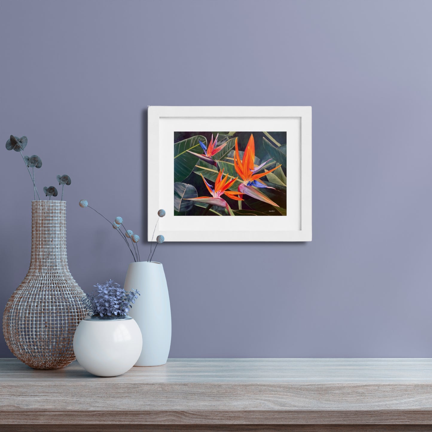 Birds of Paradise