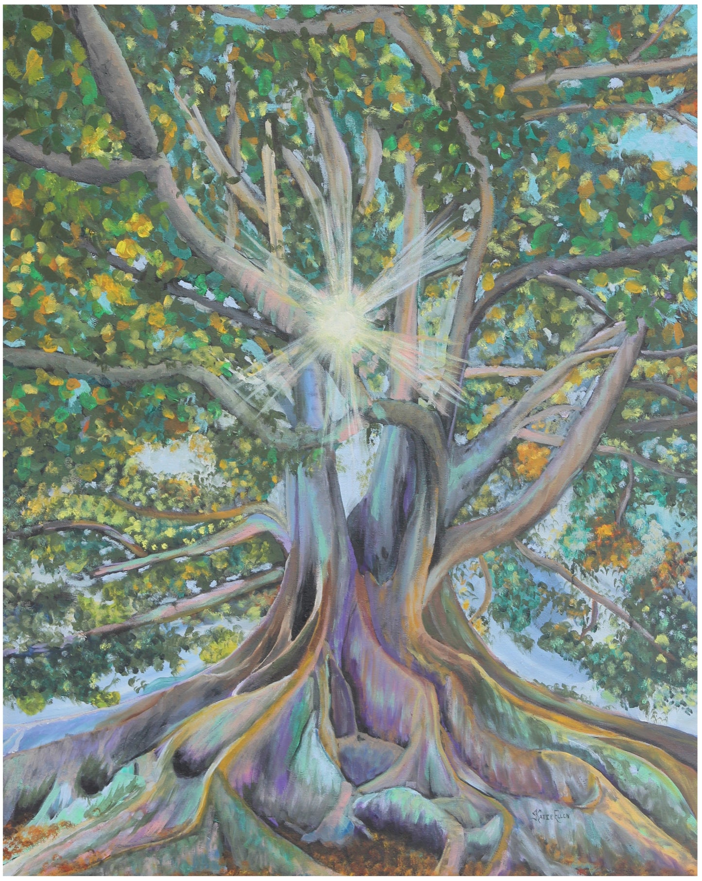 Ceiba Tree