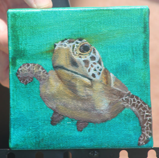 Under the Sea #4
