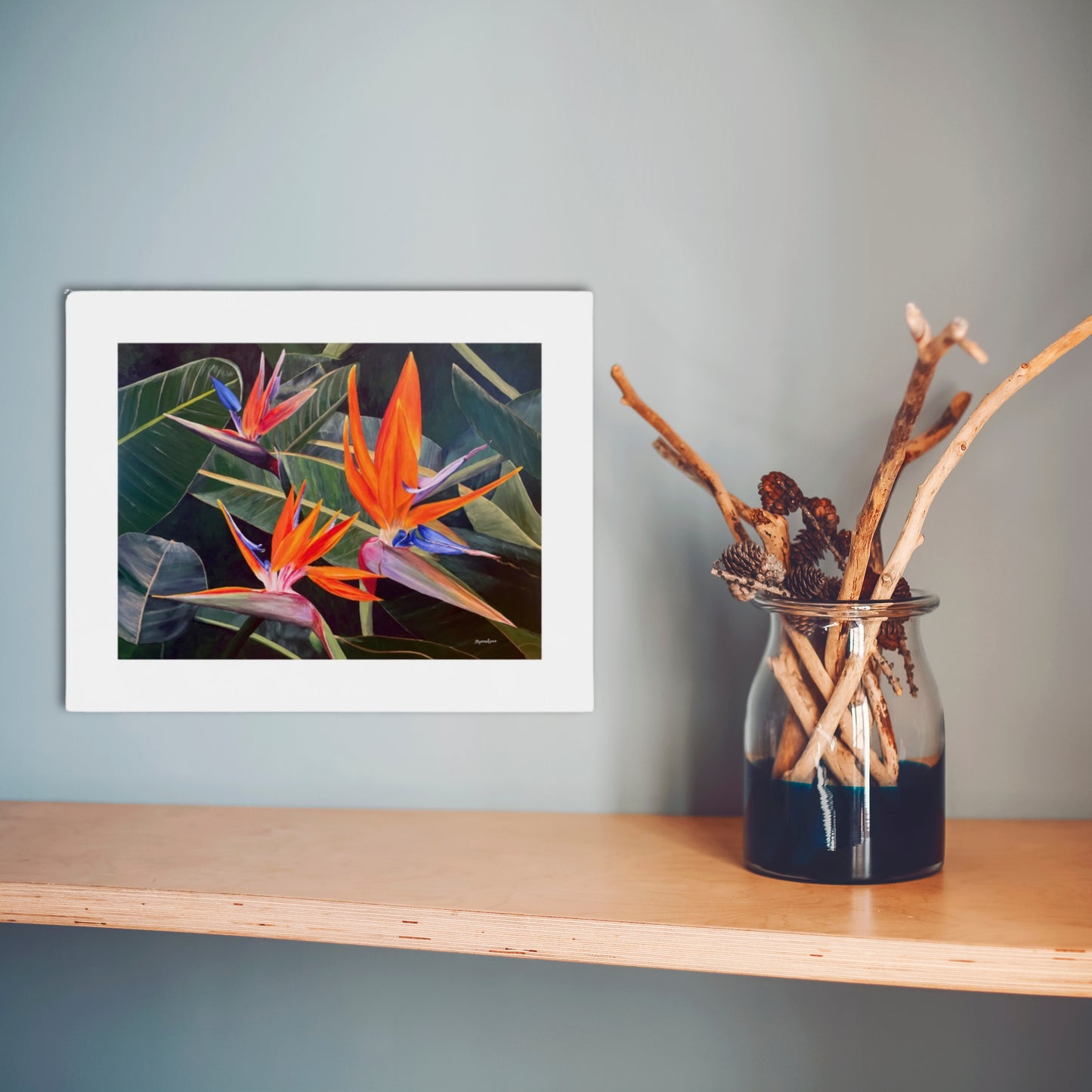 Birds of Paradise