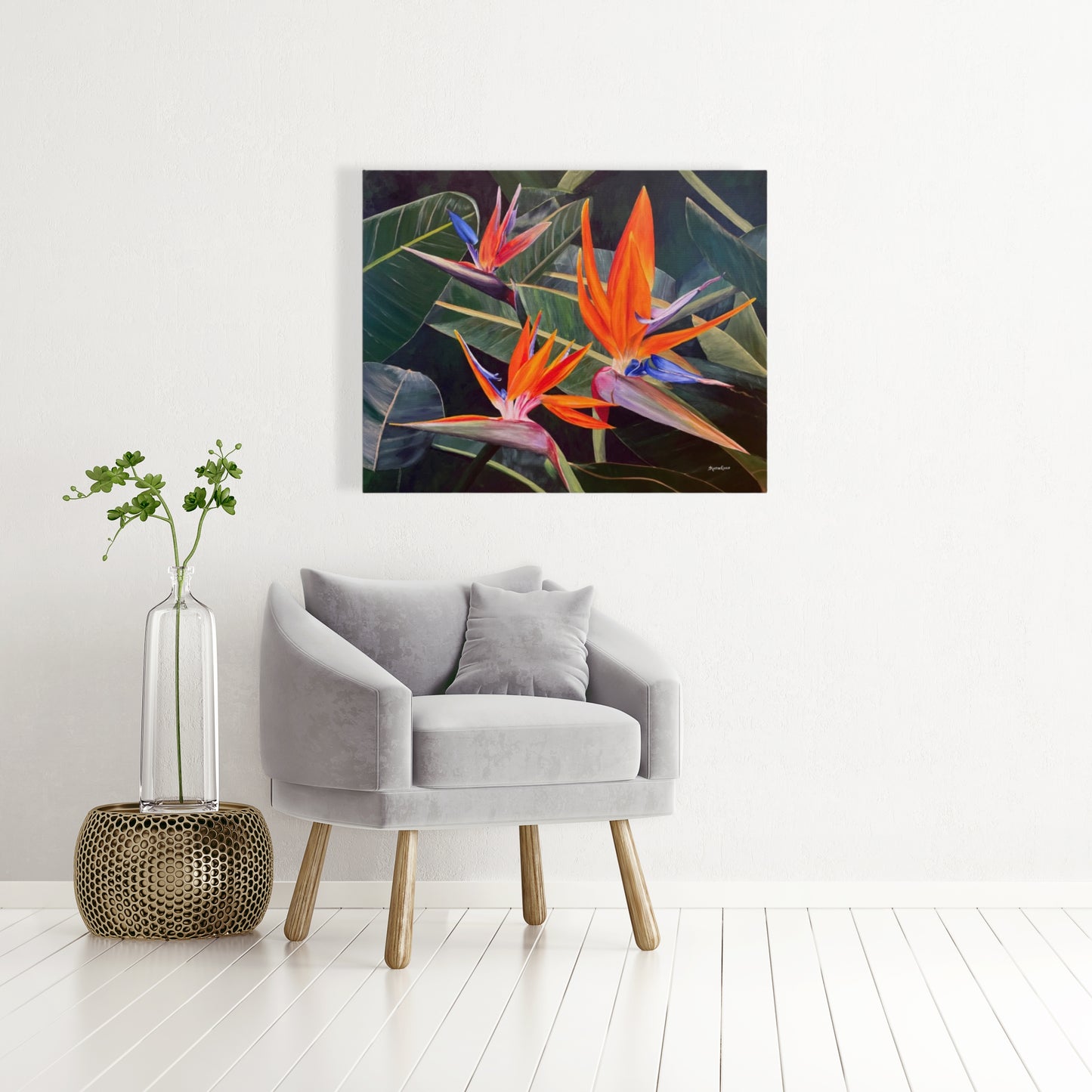 Birds of Paradise