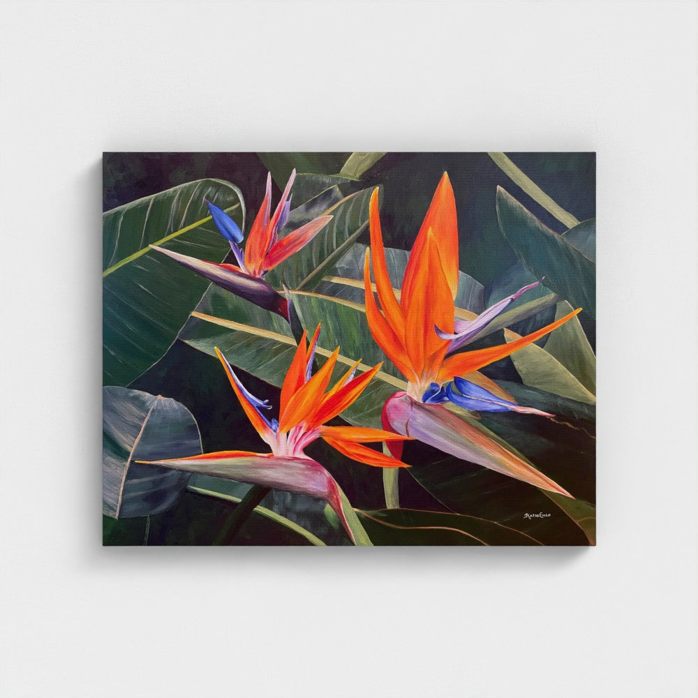 Birds of Paradise